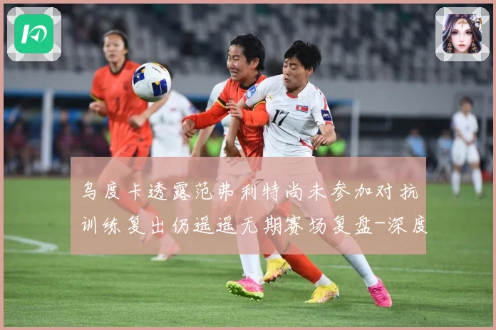 乌度卡透露范弗利特尚未参加对抗训练复出仍遥遥无期赛场复盘-深度解析