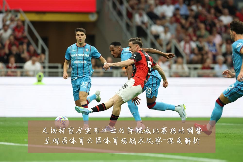 足协杯官方宣布江西对阵鲲城比赛场地调整至瑞昌体育公园体育场战术观察-深度解析